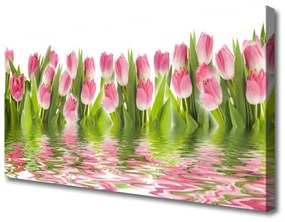 Obraz Canvas Tulipány rastlina príroda 125x50 cm