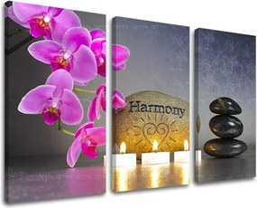 Obraz na stenu 3 dielny FENG SHUI FS023E30