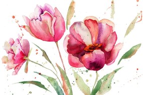 Jedinečná tapeta maľované tulipány