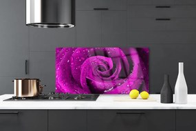Nástenný panel  Ruže kvet rastlina 125x50 cm