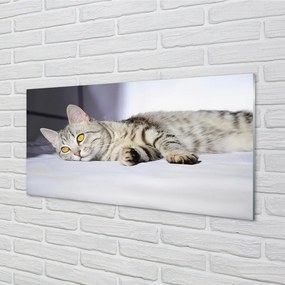 Sklenený obraz ležiace mačka 100x50 cm