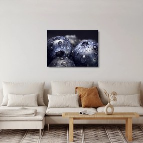 Sklenený obraz ovocia s kvapkami vody (70x50 cm)
