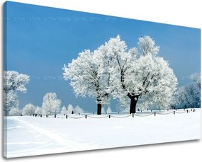 Obraz na stenu STROMY