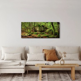 Obraz čarovného lesa (120x50 cm)