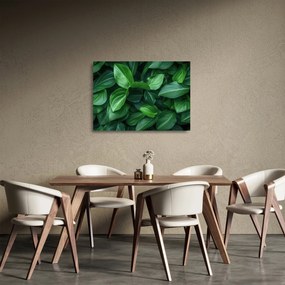 Sklenený obraz - Zelené listy (70x50 cm)