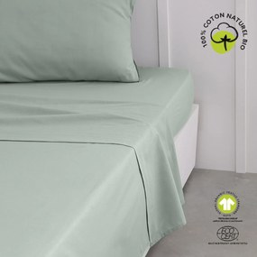 Plachty Today  Drap Plat 240/300 Coton TODAY Organic Celadon