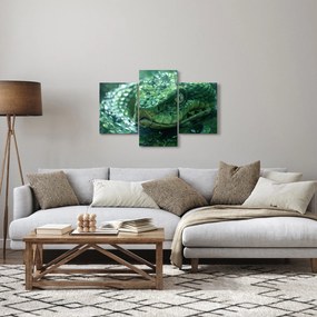 Obraz - Portrét hada (90x60 cm)