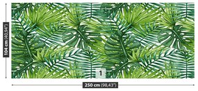 Fototapeta Vliesová Palmové listy 152x104 cm