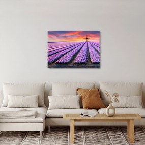 Sklenený obraz - kvetinová farma (70x50 cm)