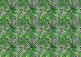 Fototapeta - Geometria a listy (254x184 cm)