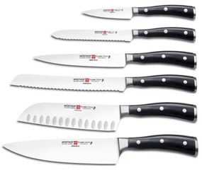 Wüsthof - Sada kuchynských nožov v stojane CLASSIC IKON 7 ks jaseň/čierna