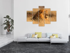 Obraz - Národný park Etosha (150x105 cm)