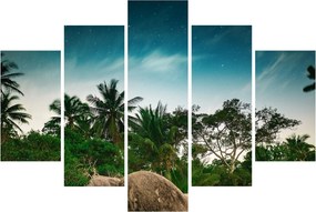 Obraz - palmy (150x105 cm)