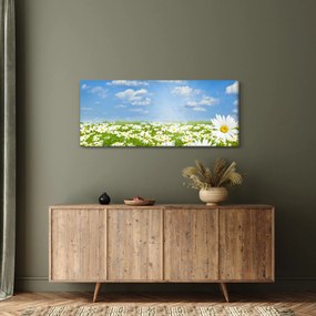 Obraz rozkvitnutej lúky s margarétkami (120x50 cm)