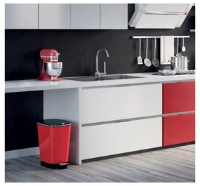 Červený pedálový plastový odpadkový kôš 45 l Chic Bin – KIS