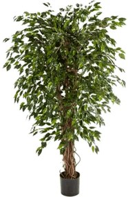 Umelý Fikus - Ficus exotica hawaiian liana branched 180 cm