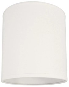 Stropné svietidlo 1xE27/40W/230V biela