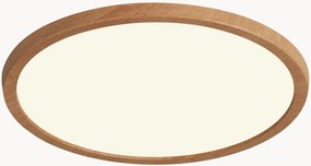 Malé stmievateľné stropné LED svietidlo Oja