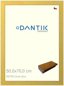 DANTIK rám na obraz 50x70 | RETRO žlutá (Plexi Čiré)