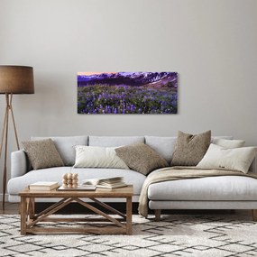 Obraz - Sopka a kvety (120x50 cm)