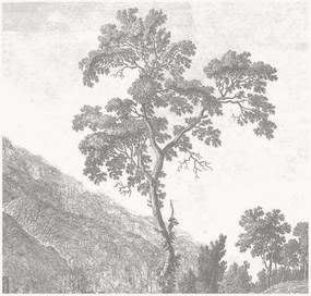 Vliesová tapeta Engraved Landscapes I