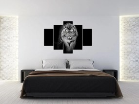 Obraz - Tiger so žltými očami (150x105 cm)