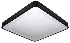 BOWI LED Stropné svietidlo WILTON LED/24W/230V čierna BW0103