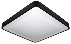 LED Stropné svietidlo WILTON LED/24W/230V čierna