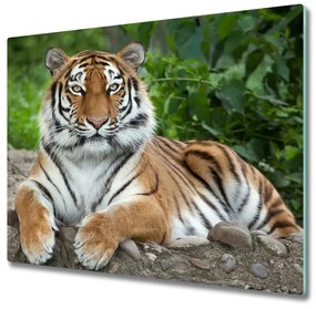 Sklenená doska na krájanie Sibírsky tiger 60x52 cm