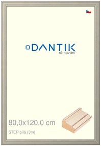 DANTIK rám na obraz 80x120 | STEP bílá (Plexi Čiré)