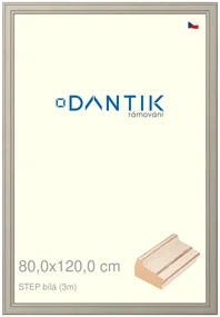 DANTIK rám na obraz 80x120 | STEP bílá (Plexi Čiré)