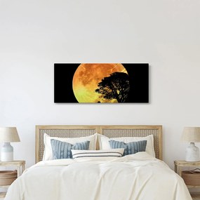 Obraz tieňov v mesačnom svetle (120x50 cm)