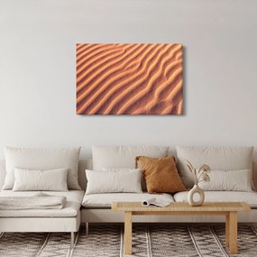 Obraz púšte (90x60 cm)