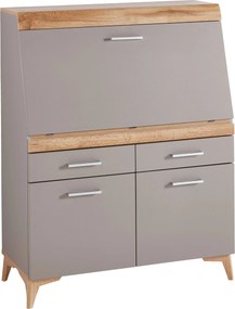 XXXLutz SEKRETÁR, 98/124/39,6 cm Carryhome - Obývacie zostavy - 002737027303