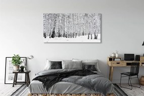Obraz plexi Zimný brezy 140x70 cm
