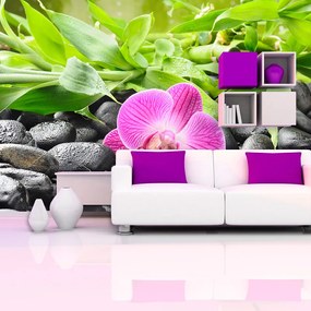 Sablio Tapeta Ružová Orchidea - 208x125 cm