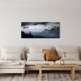 Obraz hmly nad lesom (120x50 cm)