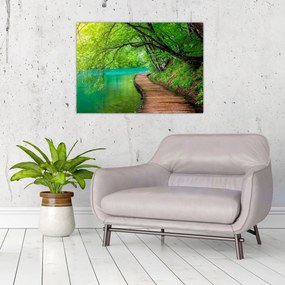 Obraz - Plitvické jazerá (70x50 cm)