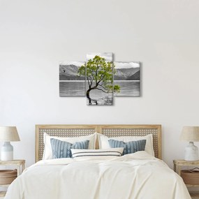 Obraz stromu uprostred jazera (90x60 cm)