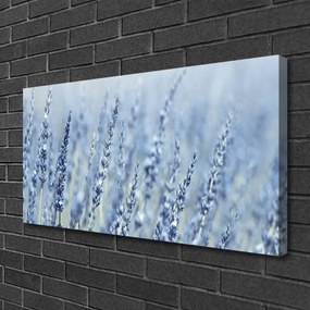 Obraz Canvas Kvety klasy lúka príroda 125x50 cm