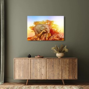 Obraz afrických zvieratiek (90x60 cm)