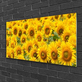 Obraz na skle Slunecznice rastlina 140x70 cm