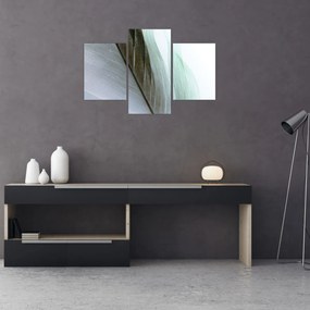 Obraz - Perie, makro (90x60 cm)