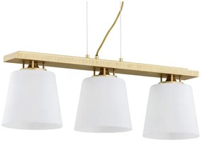 Argon 6250 - Luster na lanku ARDEN 3xE27/15W/230V zlatá