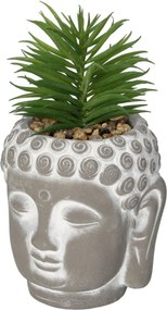 Dekorácie Succulent I Buddha 17cm