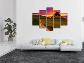 Obraz poľa pri západe slnka (150x105 cm)