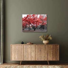 Sklenený obraz - Červené stromy, Central Park, New York (70x50 cm)