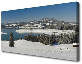 Obraz Canvas Jazero sneh príroda hory 120x60 cm