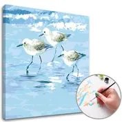 Maľovanie podľa čísel ČAJKY – stredná náročnosť