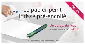 Samolepka na stenu 250x200 cm Desert Sunrise - Ambiance